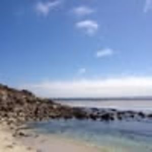 Meet your Posher, Henry